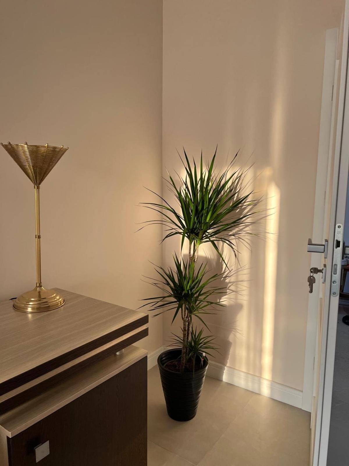 Pensiunea Villa D'Amici Mosnita Noua 外观 照片